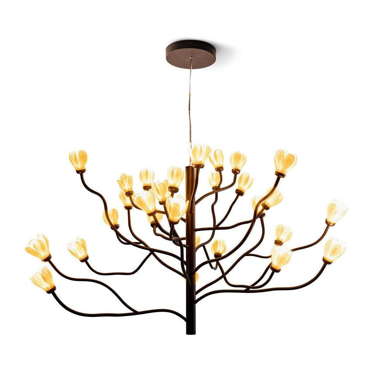 Mkuren Chandelier