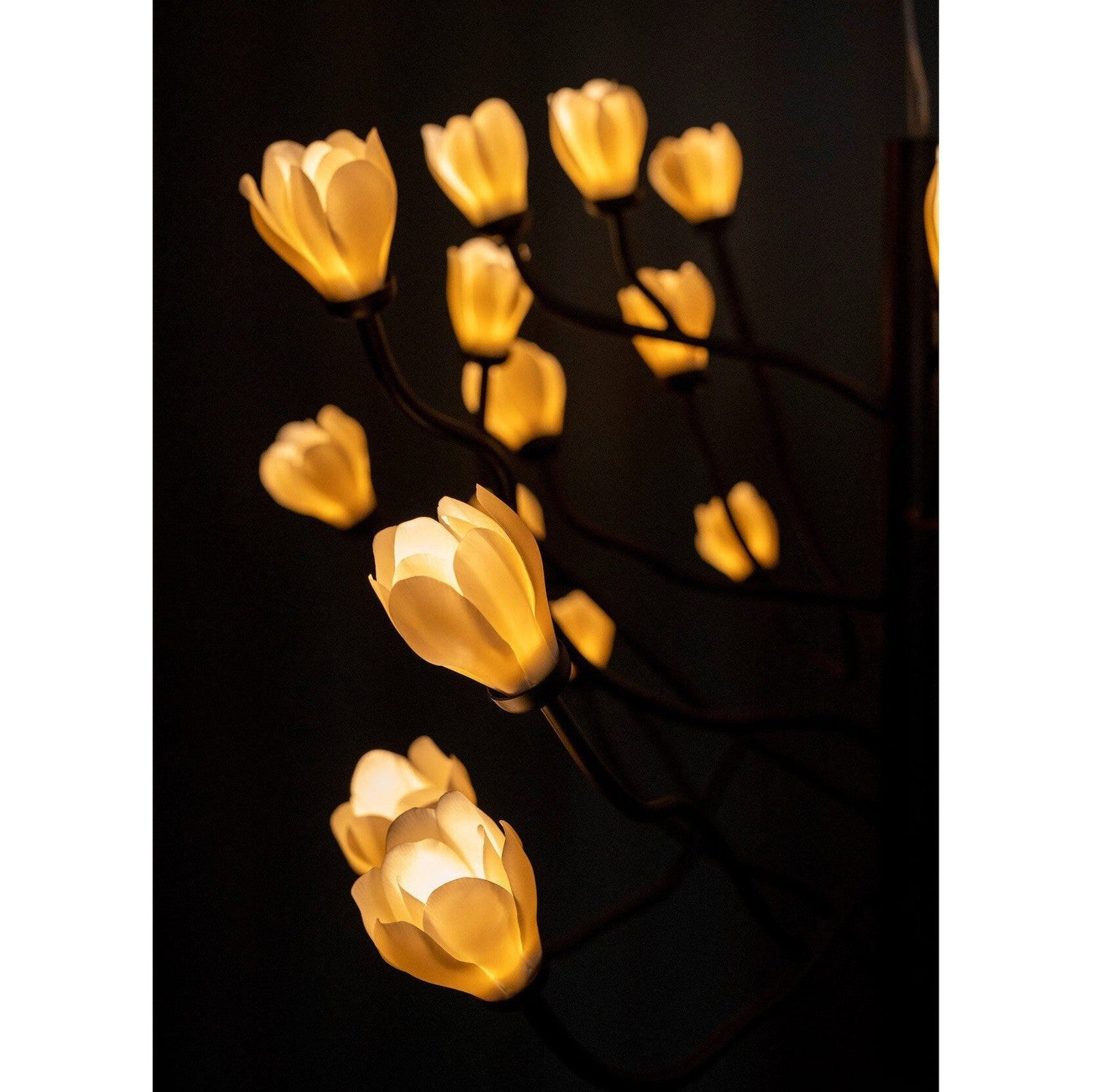 Mkuren Chandelier