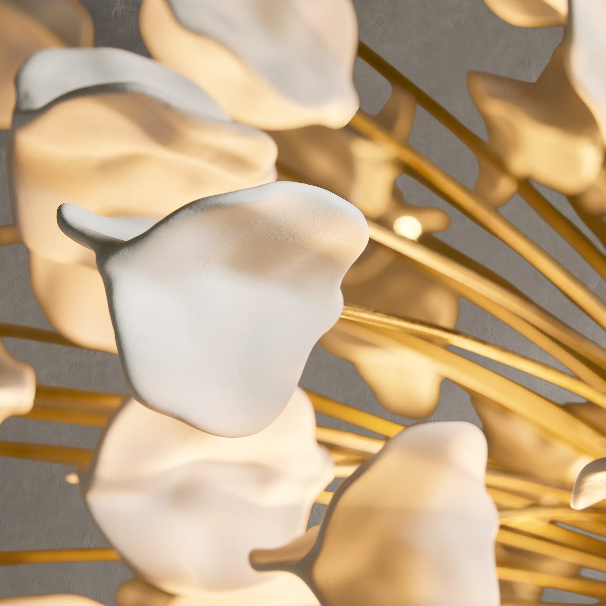 Lunaria Chandelier
