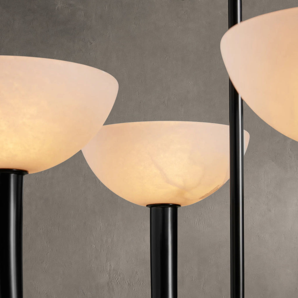 Saguara Chandelier