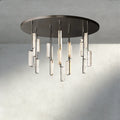 Audubon Crystal Round Chandelier 24