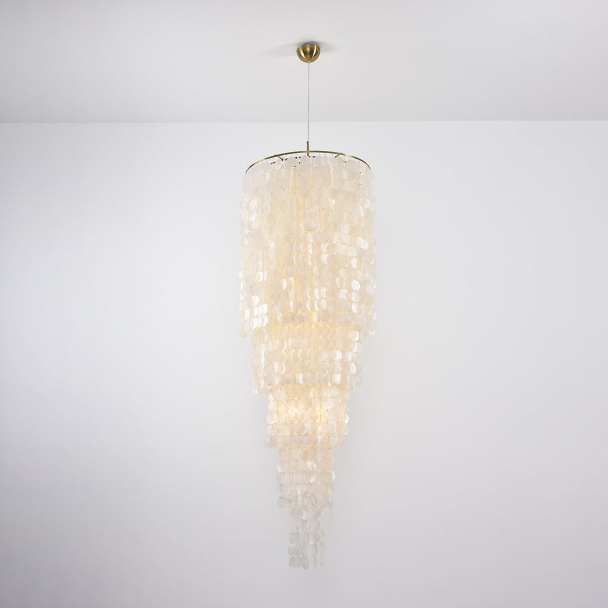 Modern Nerida Shell Chandelier-Chandelier-Jecanoli