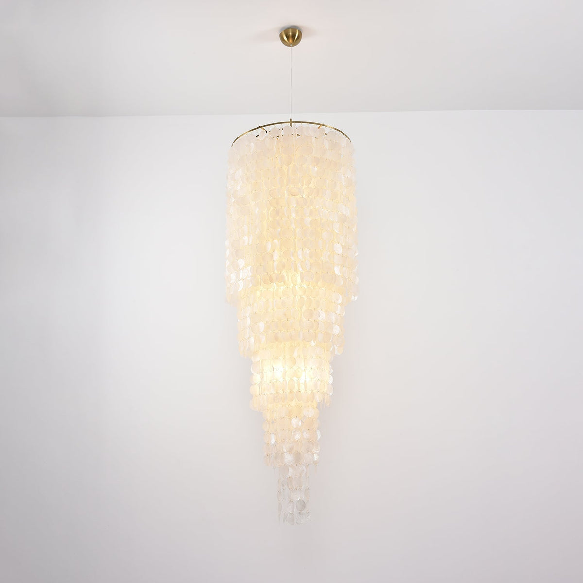 Modern Nerida Shell Chandelier-Chandelier-Jecanoli