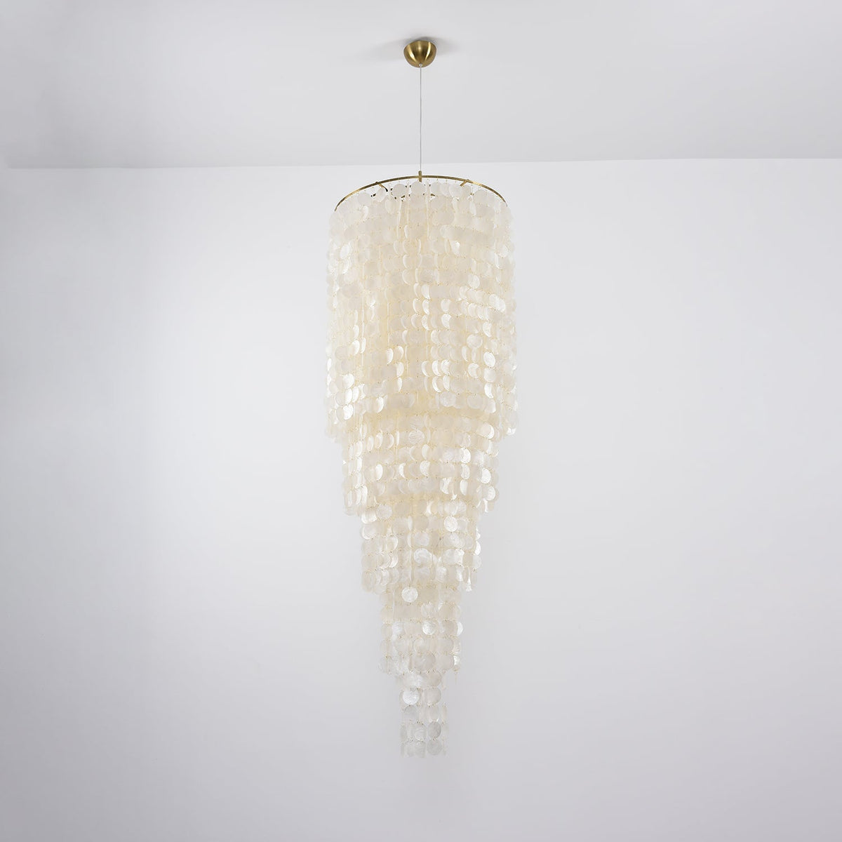 Modern Nerida Shell Chandelier-Chandelier-Jecanoli