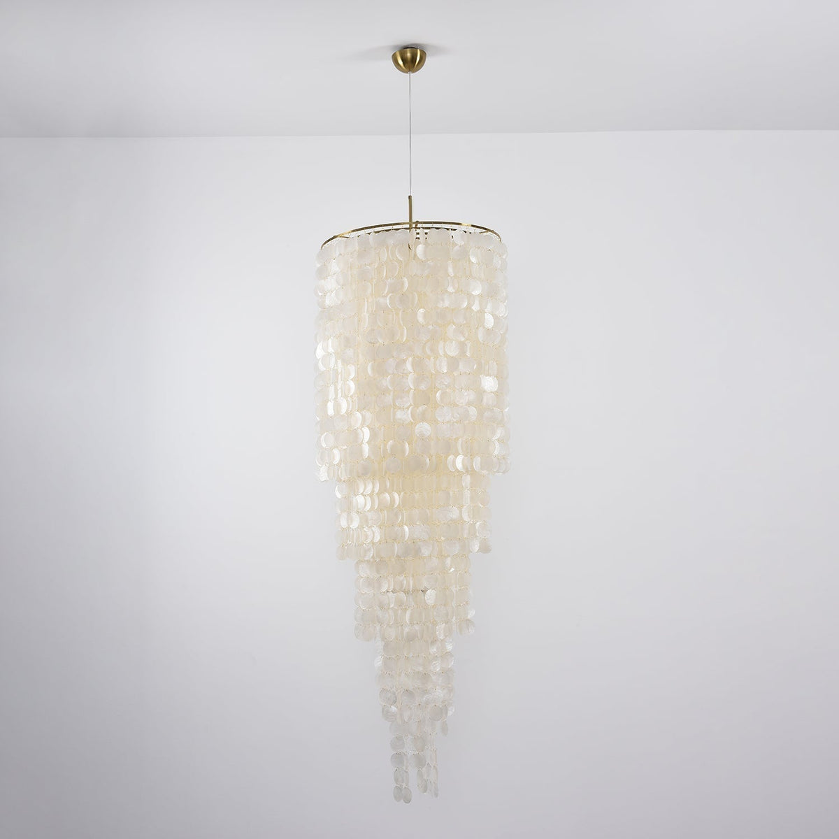 Modern Nerida Shell Chandelier-Chandelier-Jecanoli