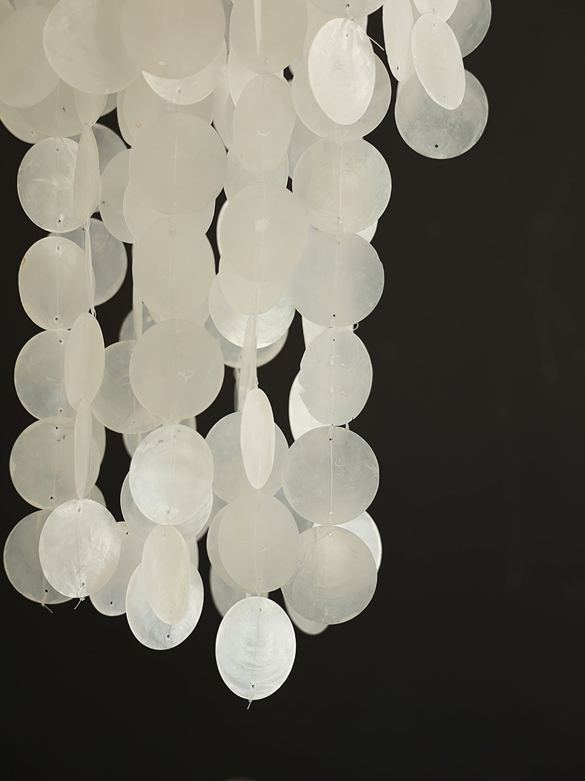 Modern Nerida Shell Chandelier-Chandelier-Jecanoli