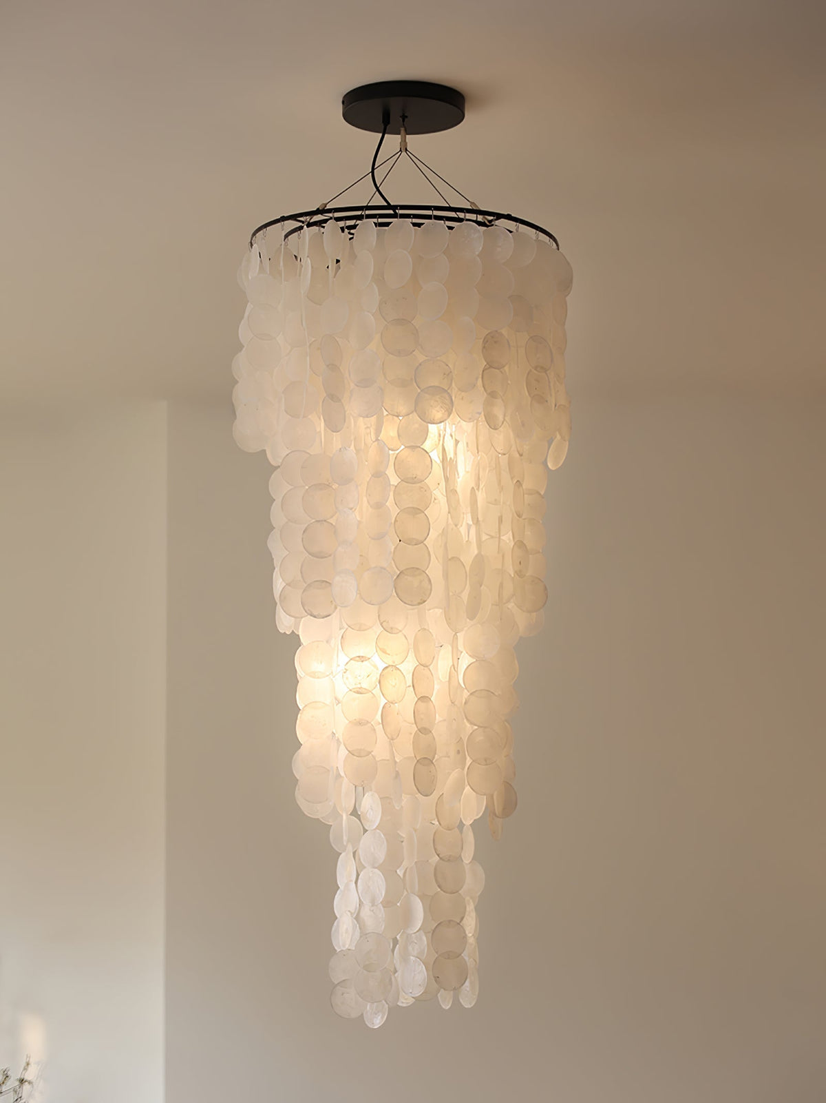 Modern Nerida Shell Chandelier-Chandelier-Jecanoli