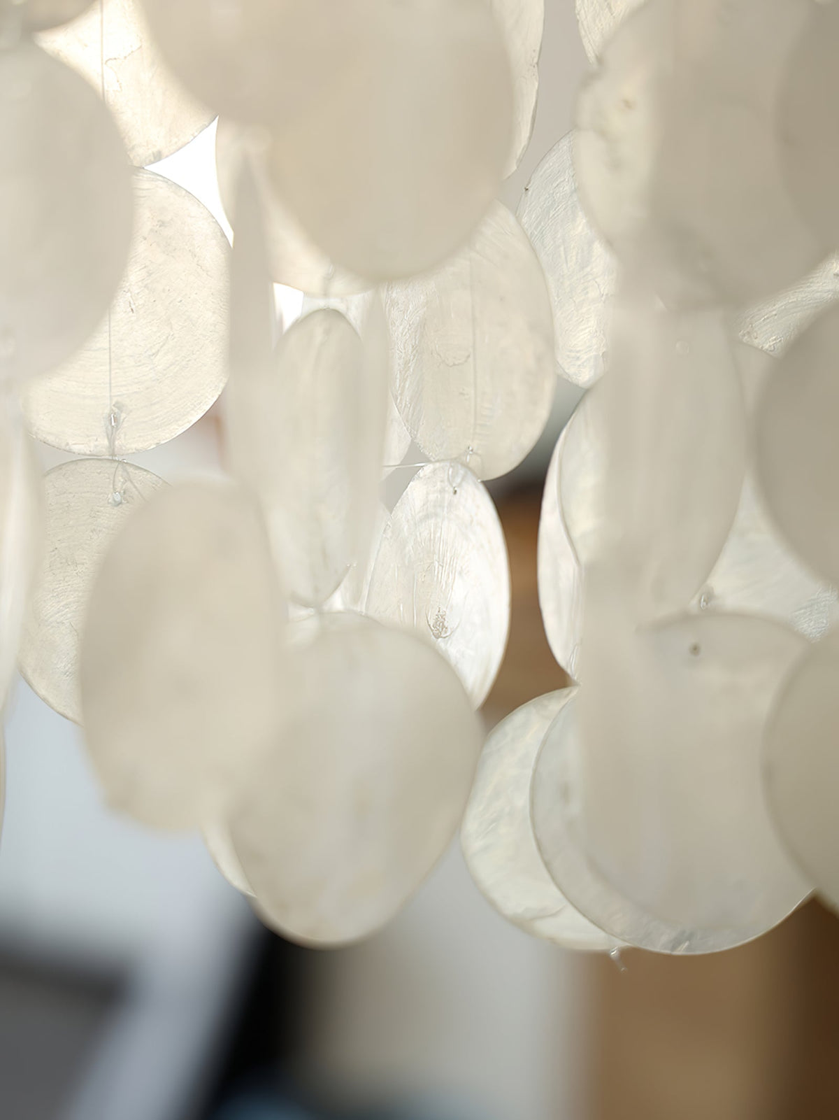 Modern Nerida Shell Chandelier-Chandelier-Jecanoli