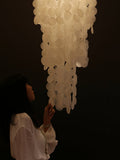 Modern Nerida Shell Chandelier-Chandelier-Jecanoli