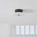 Ankeny Alabaster Ceiling Lamp - Vakkerlight
