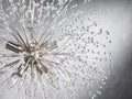 Dandelion Round Chandelier-Chandelier-Jecanoli