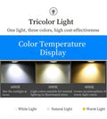 Bidi Multi Light Pendant Chandelier-Jecanoli