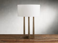 Emmet modern brass table lamp