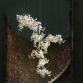 Gingko Combination Chandelier - Jecanoli