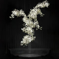 Gingko Combination Chandelier - Jecanoli