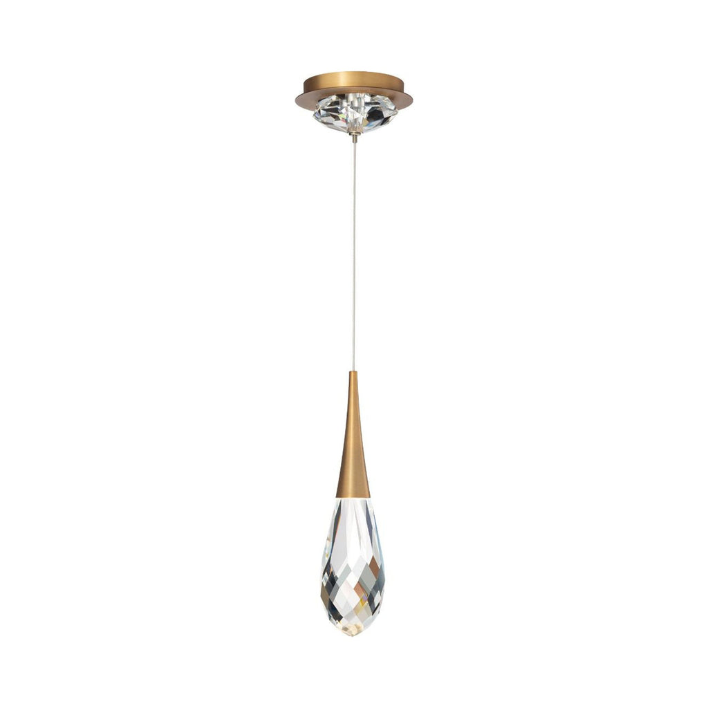 Hellebore LED Mini Pendant Light in Aged Brass.