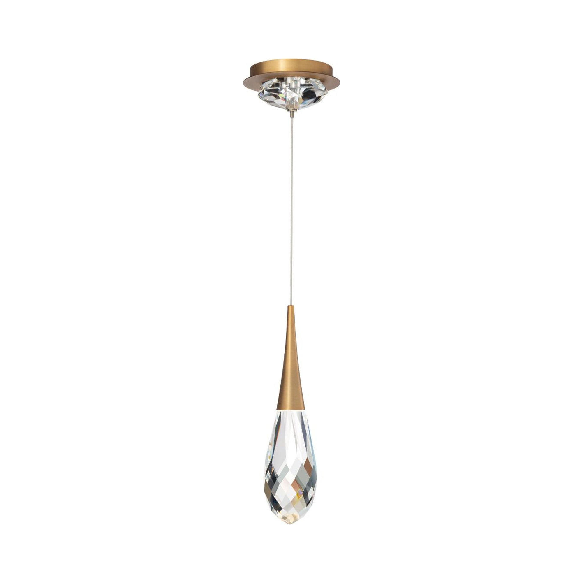 Hellebore LED Mini Pendant Light in Aged Brass.
