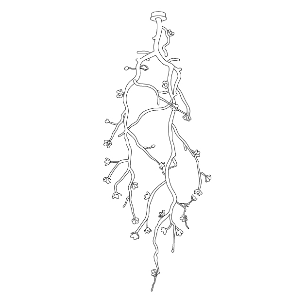 Large Long Branch Flower Chandelier-Jecanoli