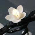 Noir Twisted Branch & Porcelain Bloom Candelabrum Chandelier - Jecanoli