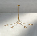 Shell Clear Glass Chandelier-Chandelier-Jecanoli