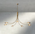 Shell Clear Glass Chandelier-Chandelier-Jecanoli