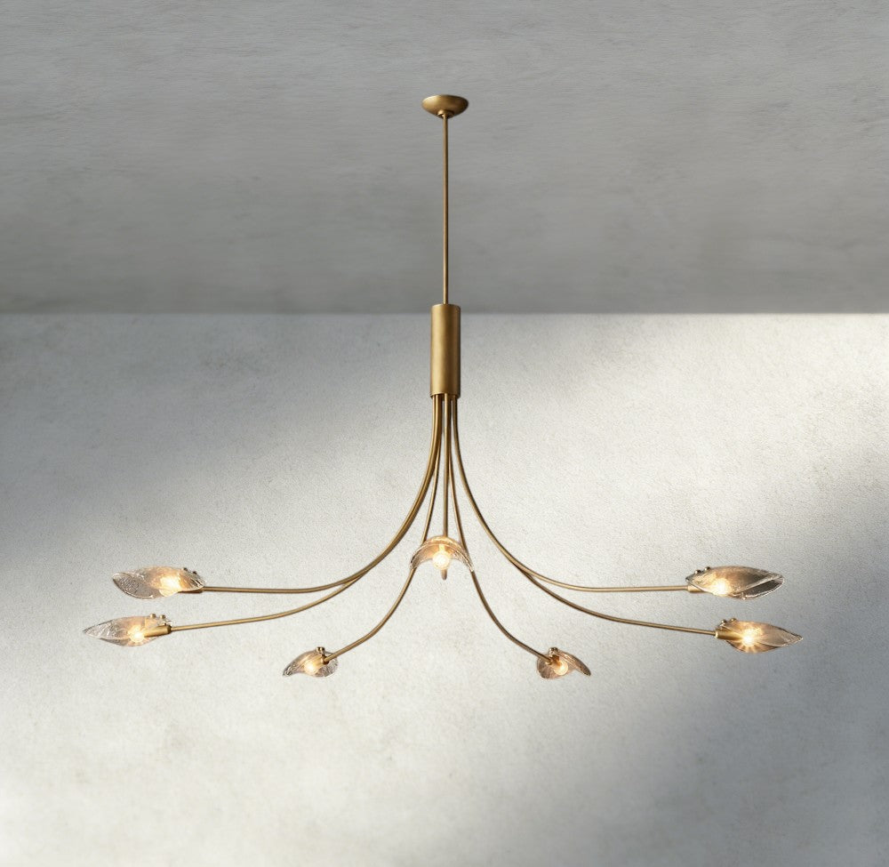 Shell Clear Glass Chandelier-Chandelier-Jecanoli