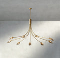 Shell Clear Glass Chandelier-Chandelier-Jecanoli