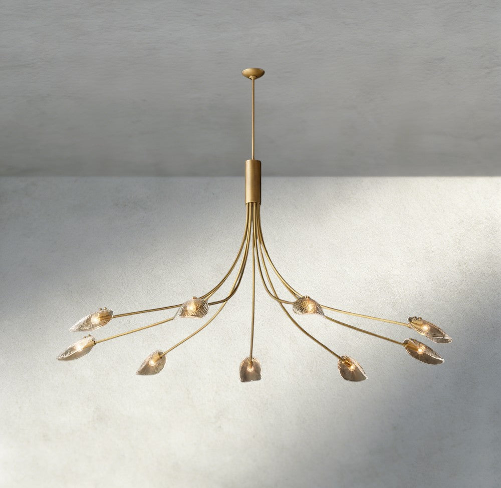 Shell Clear Glass Chandelier-Chandelier-Jecanoli