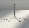 Shell Clear Glass Chandelier-Chandelier-Jecanoli