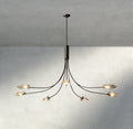 Shell Clear Glass Chandelier-Chandelier-Jecanoli