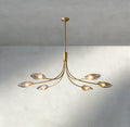Shell Clear Glass Chandelier-Chandelier-Jecanoli