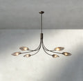 Shell Clear Glass Chandelier-Chandelier-Jecanoli