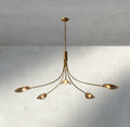 Shell Smoke Glass Chandelier-Chandelier-Jecanoli