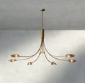 Shell Smoke Glass Chandelier-Chandelier-Jecanoli