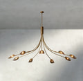 Shell Smoke Glass Chandelier-Chandelier-Jecanoli