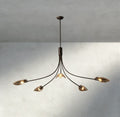 Shell Smoke Glass Chandelier-Chandelier-Jecanoli
