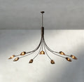 Shell Smoke Glass Chandelier-Chandelier-Jecanoli