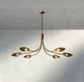Shell Smoke Glass Chandelier-Chandelier-Jecanoli