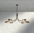 Shell Smoke Glass Chandelier-Chandelier-Jecanoli