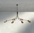 Shell Smoke Glass Chandelier-Chandelier-Jecanoli