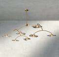 Lily Clear Glass Round Chandelier-Chandelier-Jecanoli