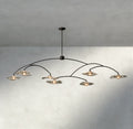 Lily Clear Glass Round Chandelier-Chandelier-Jecanoli